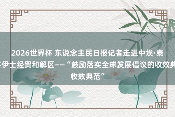 2026世界杯 东说念主民日报记者走进中埃·泰达苏伊士经贸和解区——“鼓励落实全球发展倡议的收效典范”