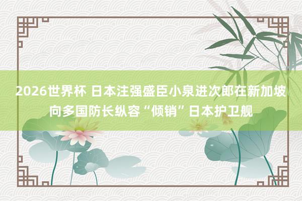 2026世界杯 日本注强盛臣小泉进次郎在新加坡向多国防长纵容“倾销”日本护卫舰