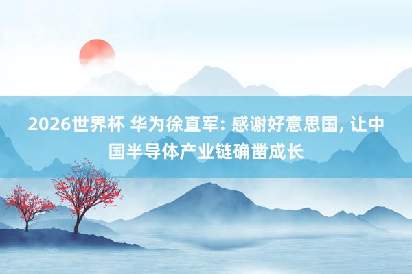 2026世界杯 华为徐直军: 感谢好意思国, 让中国半导体产业链确凿成长