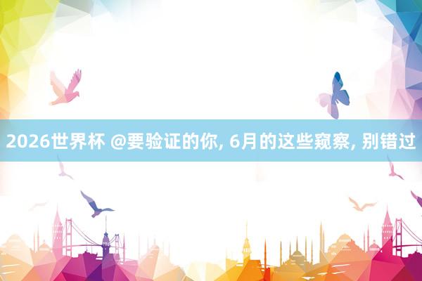 2026世界杯 @要验证的你, 6月的这些窥察, 别错过
