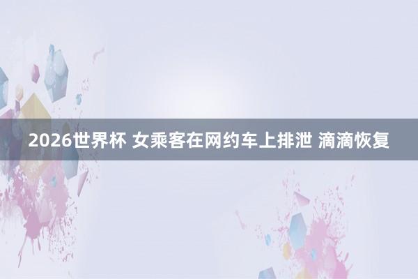 2026世界杯 女乘客在网约车上排泄 滴滴恢复