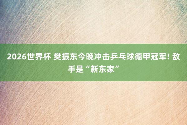 2026世界杯 樊振东今晚冲击乒乓球德甲冠军! 敌手是“新东家”