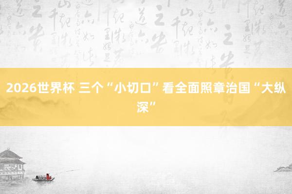 2026世界杯 三个“小切口”看全面照章治国“大纵深”