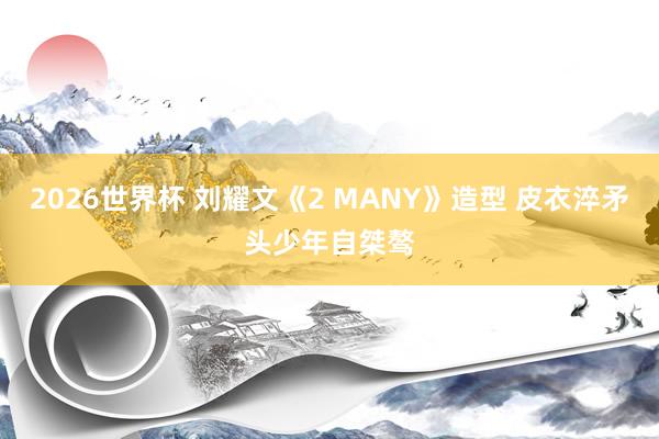 2026世界杯 刘耀文《2 MANY》造型 皮衣淬矛头少年自桀骜