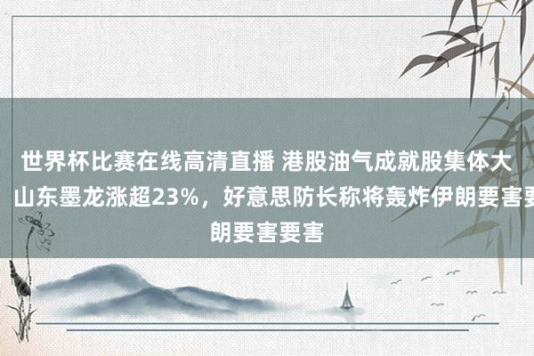 世界杯比赛在线高清直播 港股油气成就股集体大涨，山东墨龙涨超23%，好意思防长称将轰炸伊朗要害要害