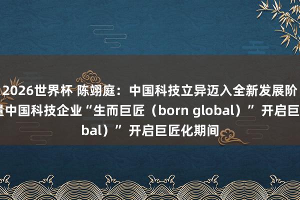 2026世界杯 陈翊庭:中国科技立异迈入全新发展阶段 一多量中国科技企业“生而巨匠(born global)” 开启巨匠化期间