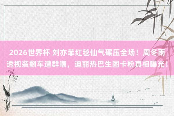 2026世界杯 刘亦菲红毯仙气碾压全场！周冬雨透视装翻车遭群嘲，迪丽热巴生图卡粉真相曝光！