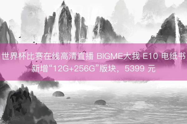 世界杯比赛在线高清直播 BIGME大我 E10 电纸书新增“12G+256G”版块，5399 元