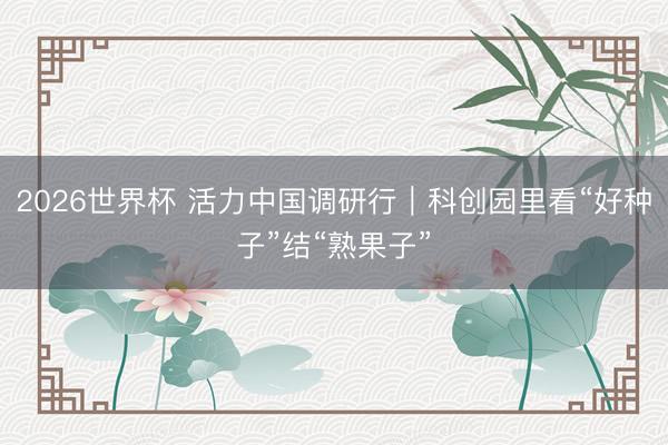 2026世界杯 活力中国调研行｜科创园里看“好种子”结“熟果子”