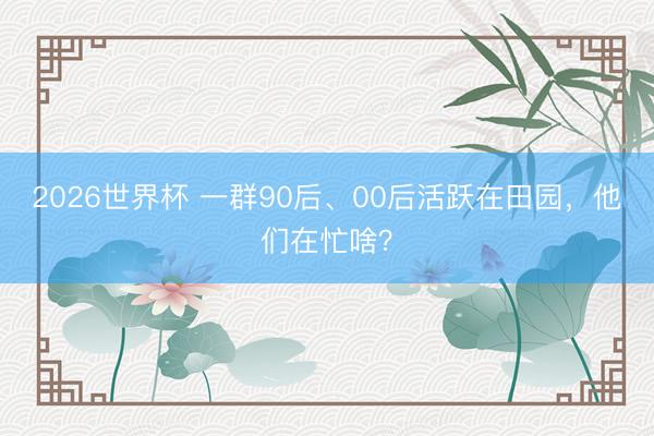 2026世界杯 一群90后、00后活跃在田园，他们在忙啥？