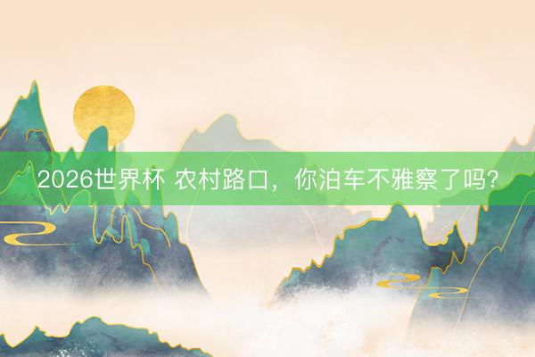 2026世界杯 农村路口，你泊车不雅察了吗？