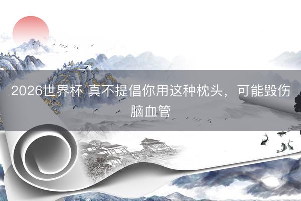2026世界杯 真不提倡你用这种枕头，可能毁伤脑血管