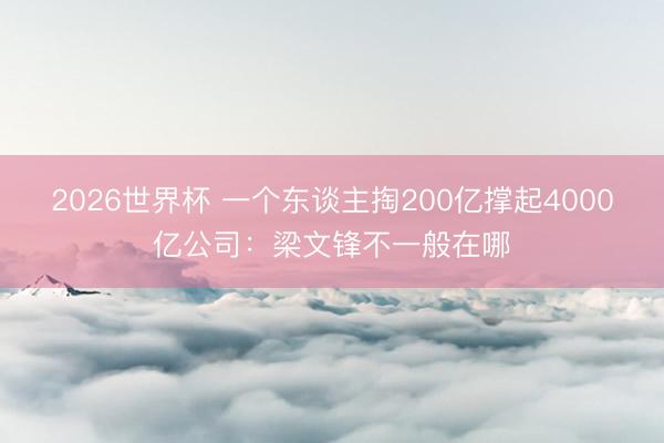 2026世界杯 一个东谈主掏200亿撑起4000亿公司:梁文锋不一般在哪